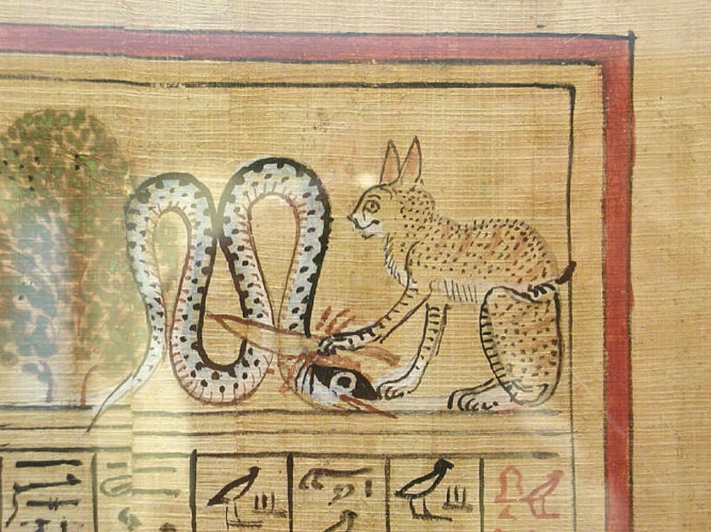 Apep