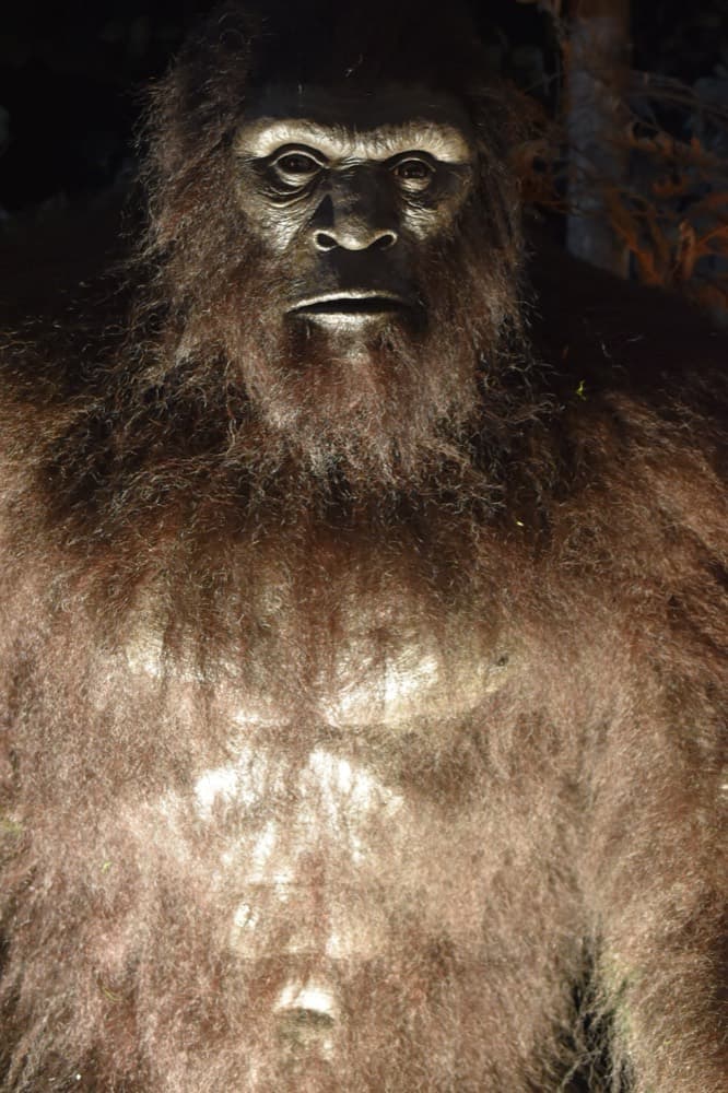 Bigfoot
