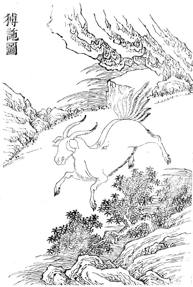 Boshi · Witness from the Old Leaves