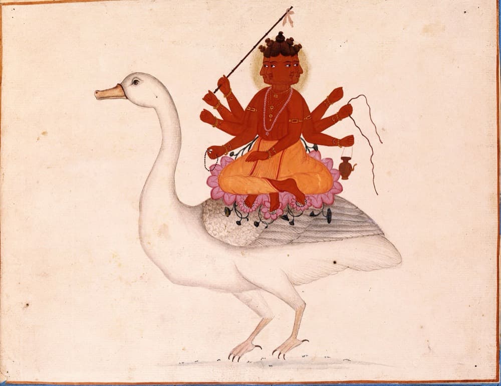 Brahma