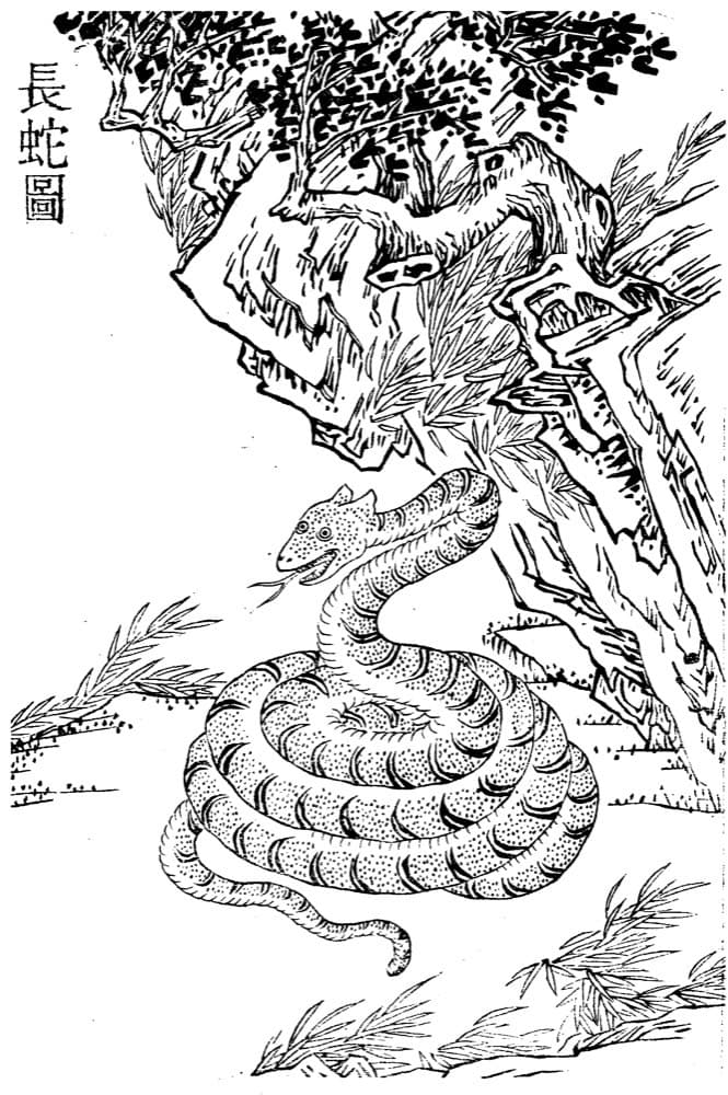 Changshe · Witness from the Old Leaves