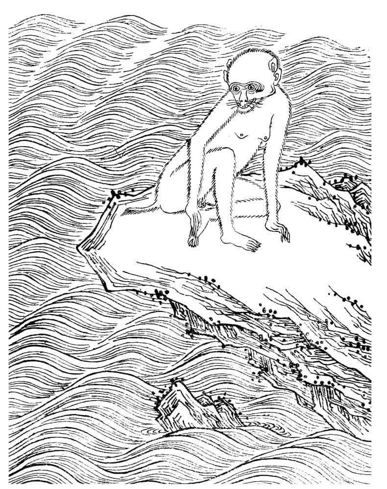 Changyou · Witness from the Old Leaves