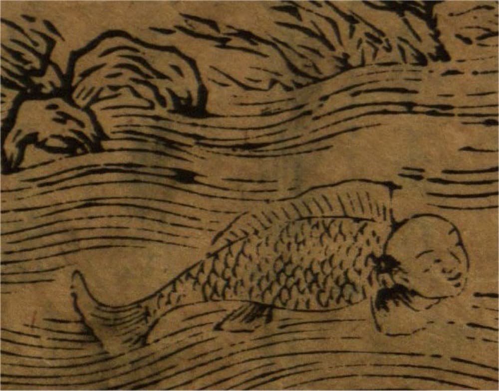 Chiru · Witness from the Old Leaves