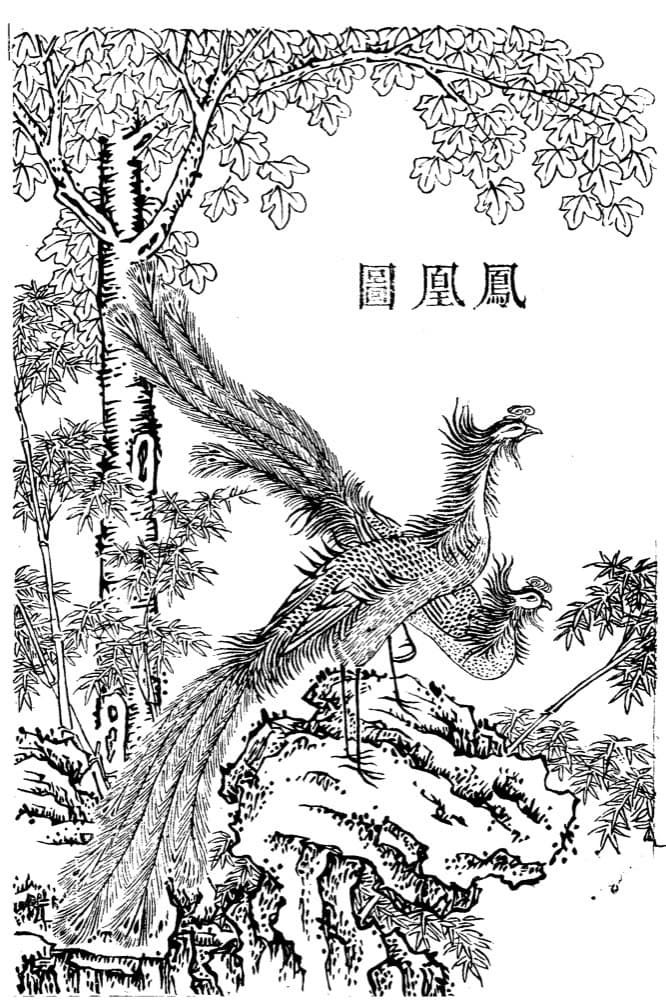 Fenghuang · Witness from the Old Leaves