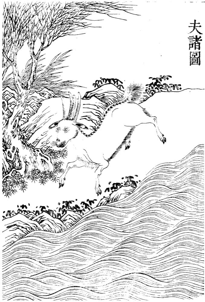 Fuzhu · Witness from the Old Leaves