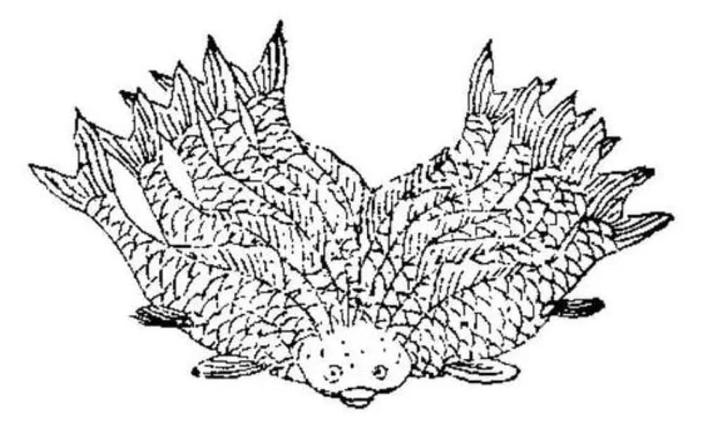 Heluo Fish · Witness from the Old Leaves