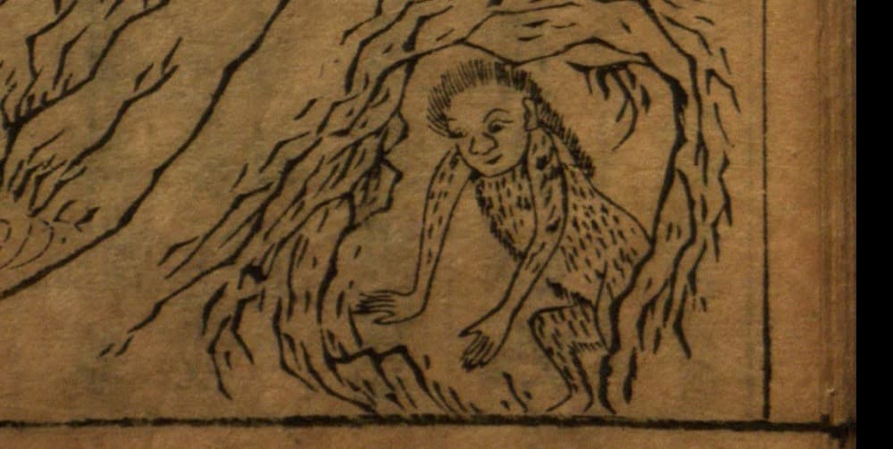 Huahuai · Witness from the Old Leaves