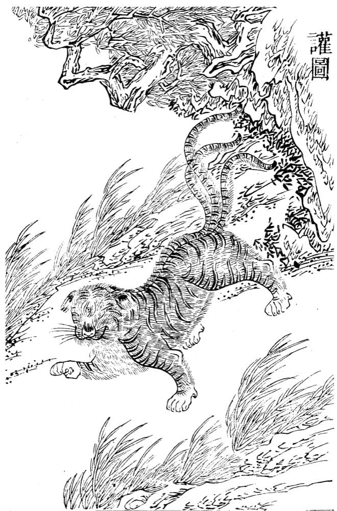 Huan · Witness from the Old Leaves