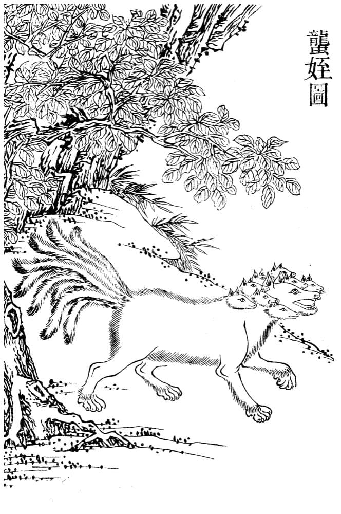 Longzhi · Witness from the Old Leaves