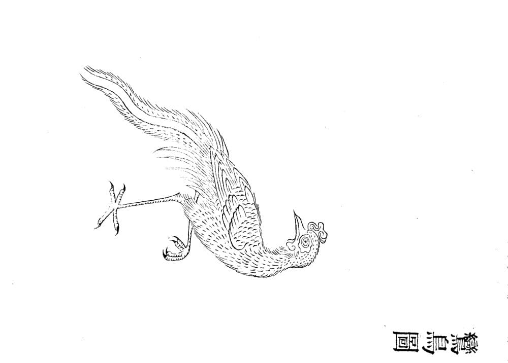 Luan Bird · Witness from the Old Leaves