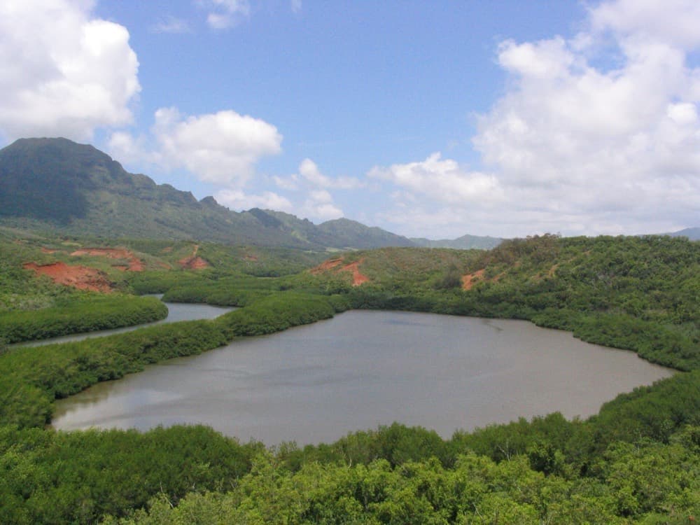 Menehune