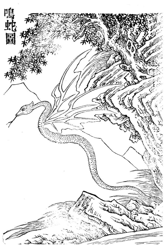 Mingshe · Witness from the Old Leaves
