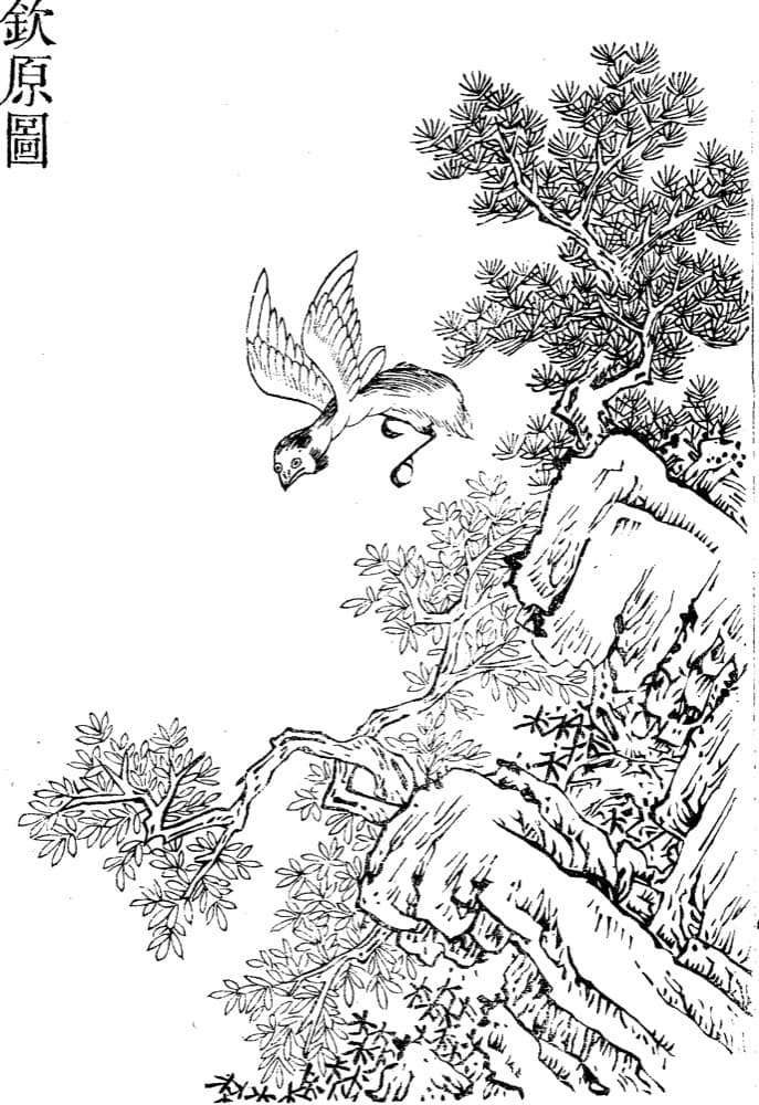 Qinyuan · Witness from the Old Leaves