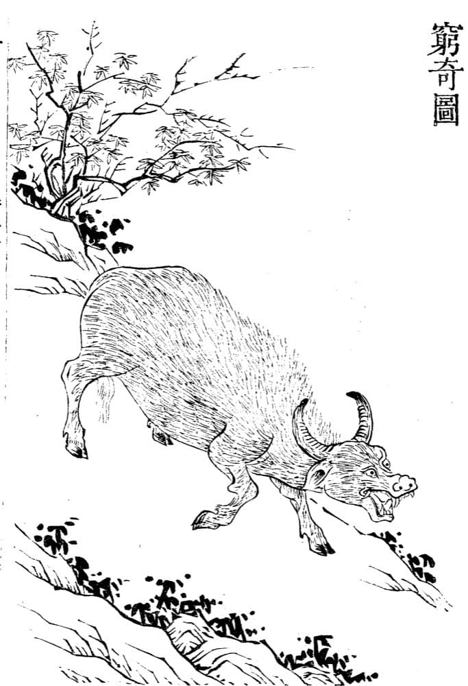 Qiongqi · Witness from the Old Leaves