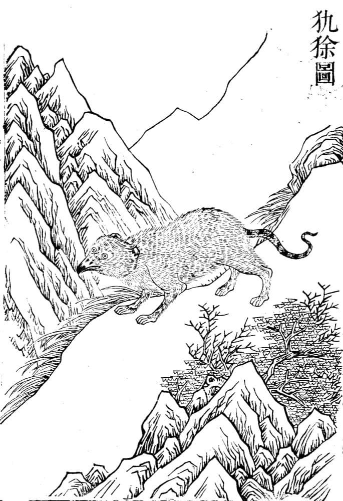 Qiuyu · Witness from the Old Leaves
