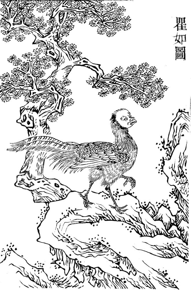 Quru · Witness from the Old Leaves