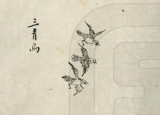 Three Azure Birds · Witness from the Old Leaves