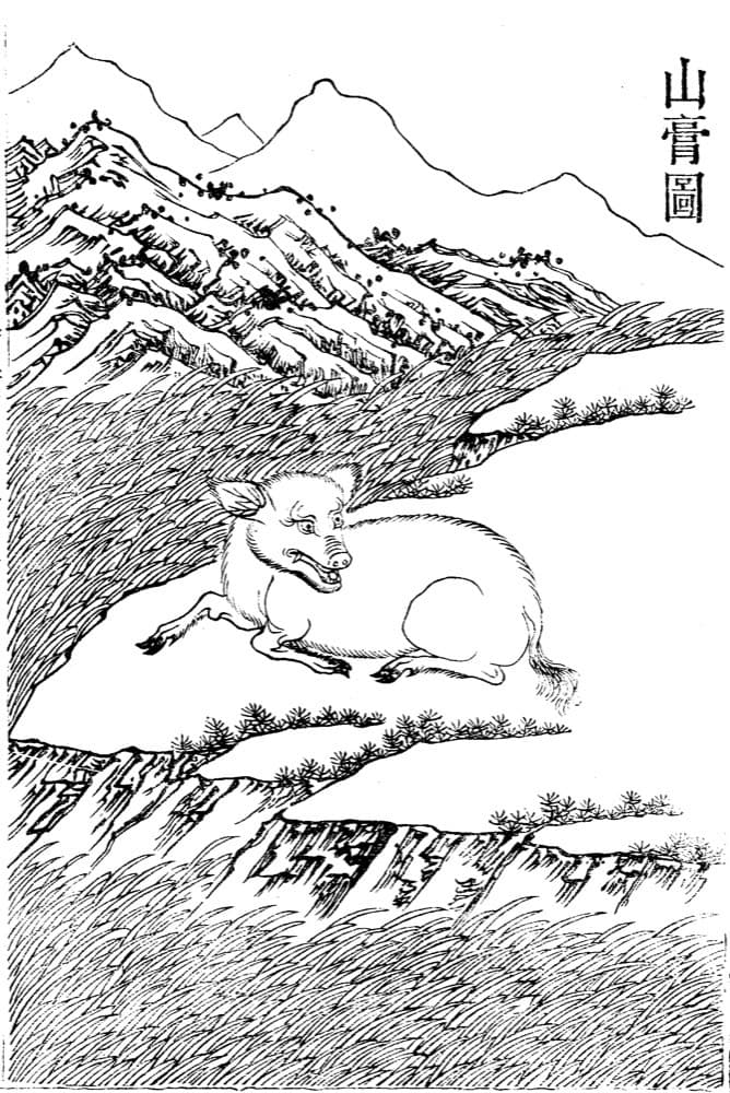 Shangao · Witness from the Old Leaves