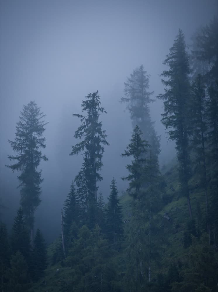 Slender Man