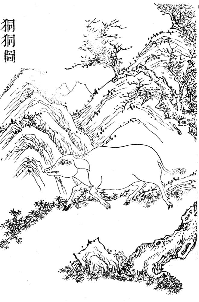 Tongtong · Witness from the Old Leaves