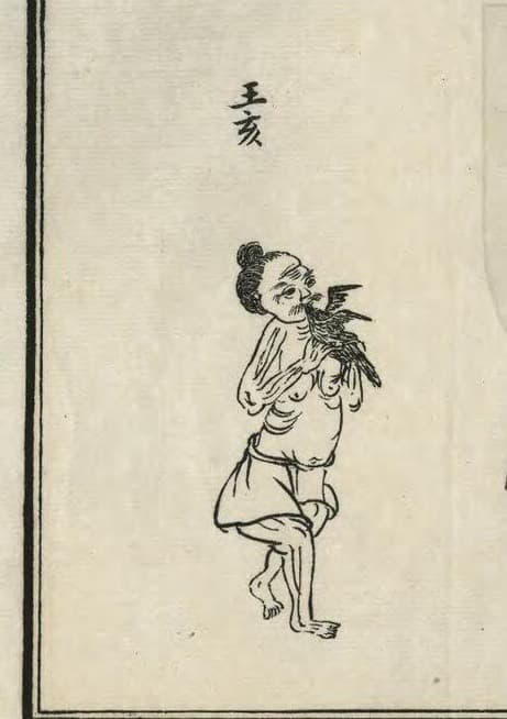 Wang Hai · Witness from the Old Leaves