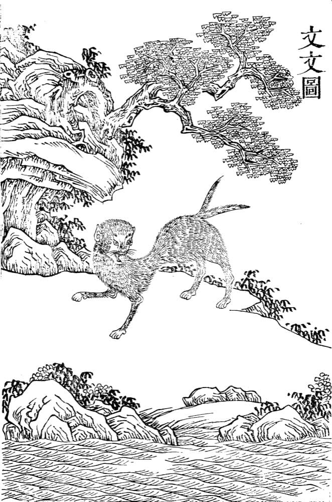 Wenwen · Witness from the Old Leaves