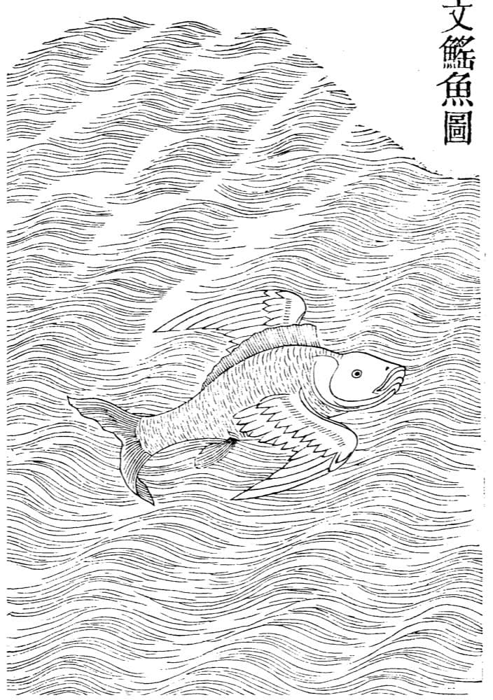 Wenyao Fish · Witness from the Old Leaves