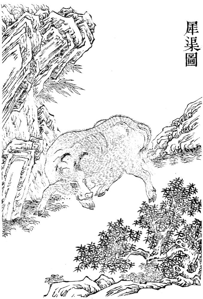 Xiqu · Witness from the Old Leaves