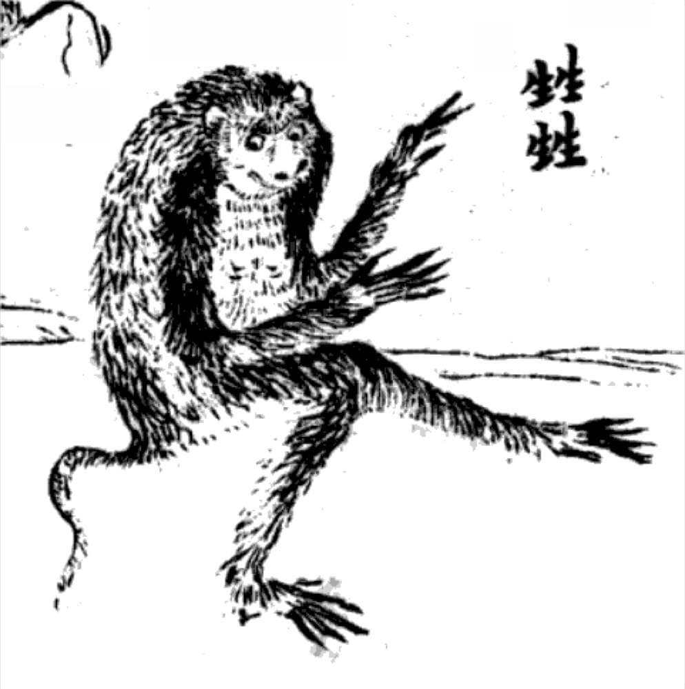 Xingxing · Witness from the Old Leaves