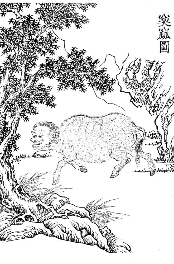 Yayu · Witness from the Old Leaves