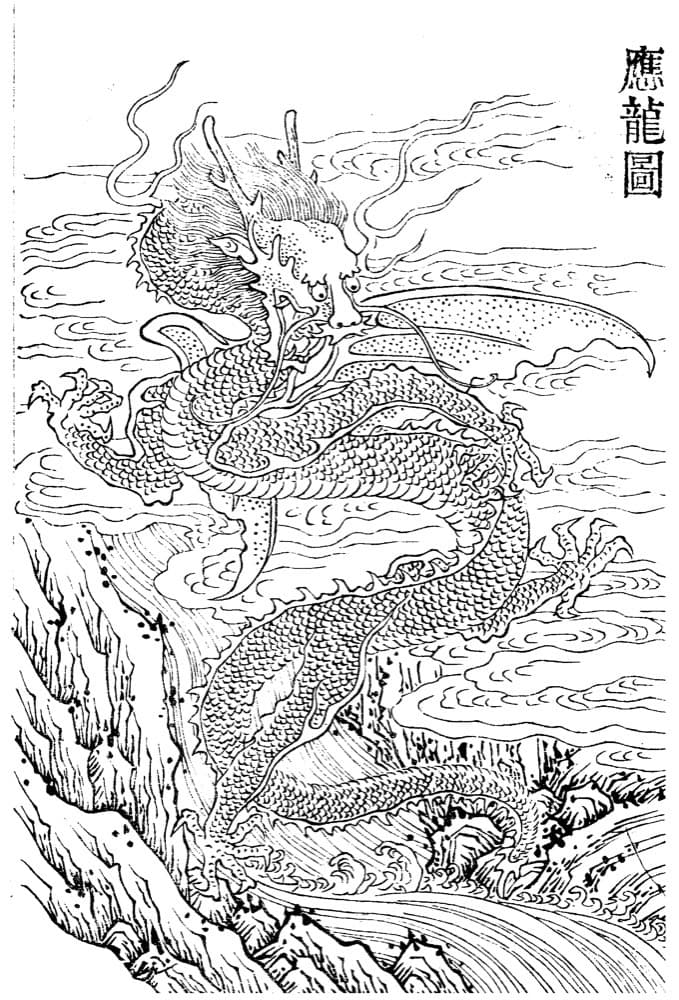 Yinglong · Witness from the Old Leaves