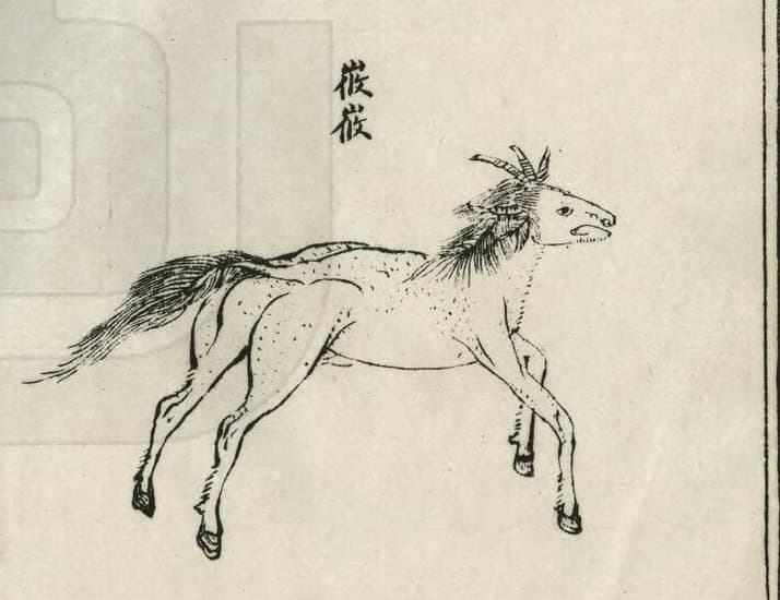 Youyou · Witness from the Old Leaves