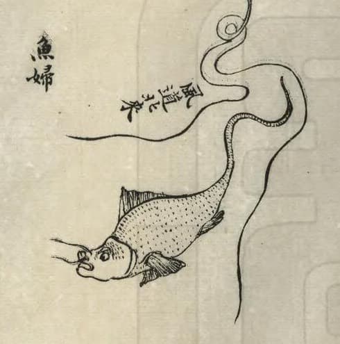 Yufu · Witness from the Old Leaves