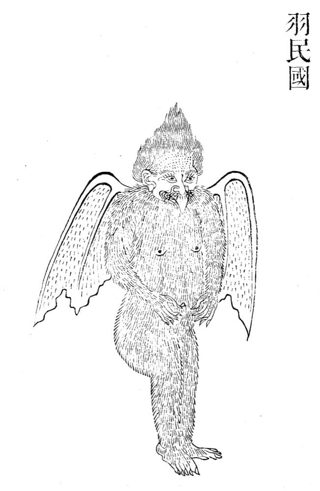 Land of the Feathered Folk · Witness from the Old Leaves