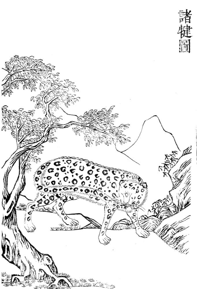 Zhujian · Witness from the Old Leaves